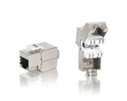 Conector EQUIP RJ45/H Cat.6 8 Unidades