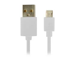 Cable CONCEPTRONIC Lightning 1m Blanco