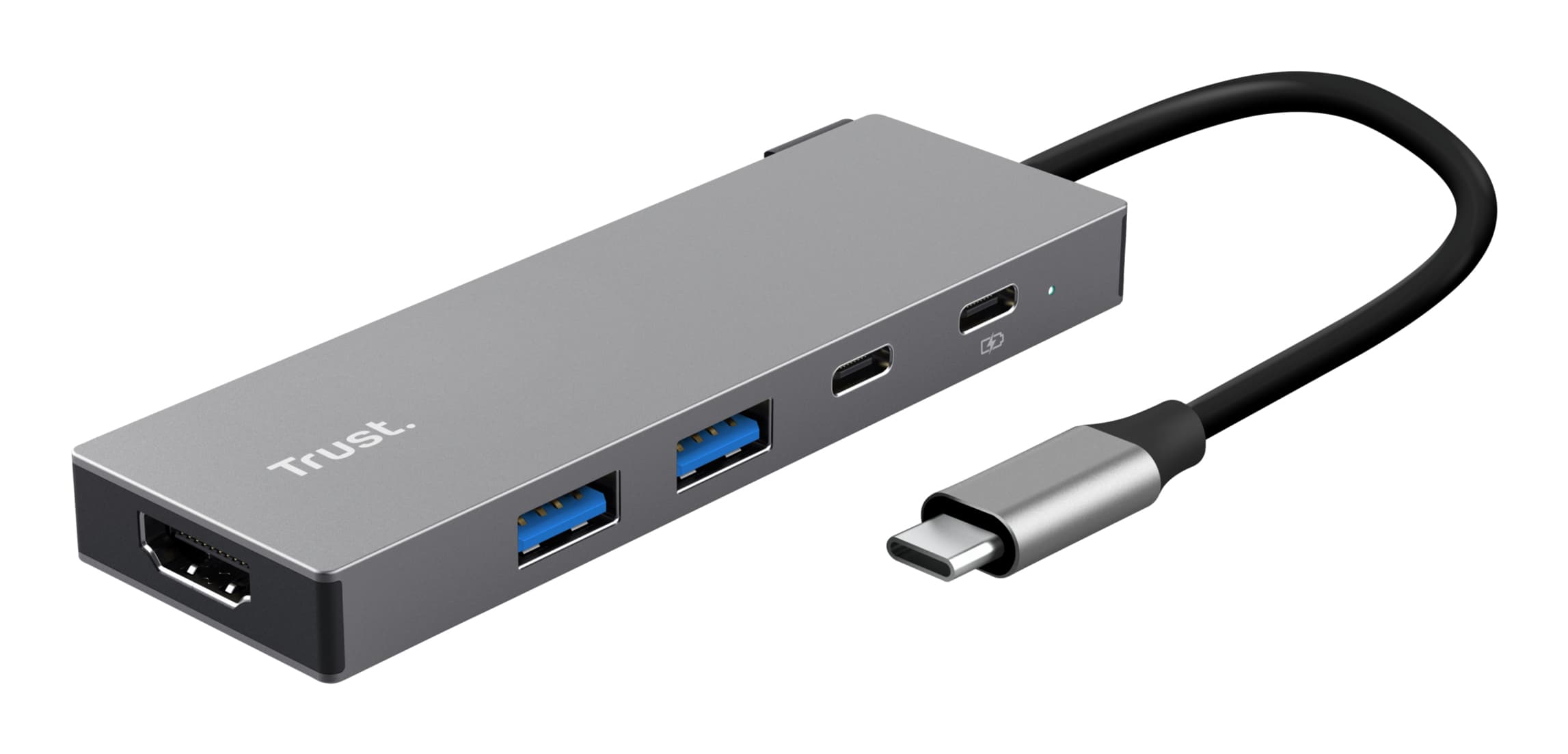Trust 26062 hub de interfaz USB Tipo C Gris