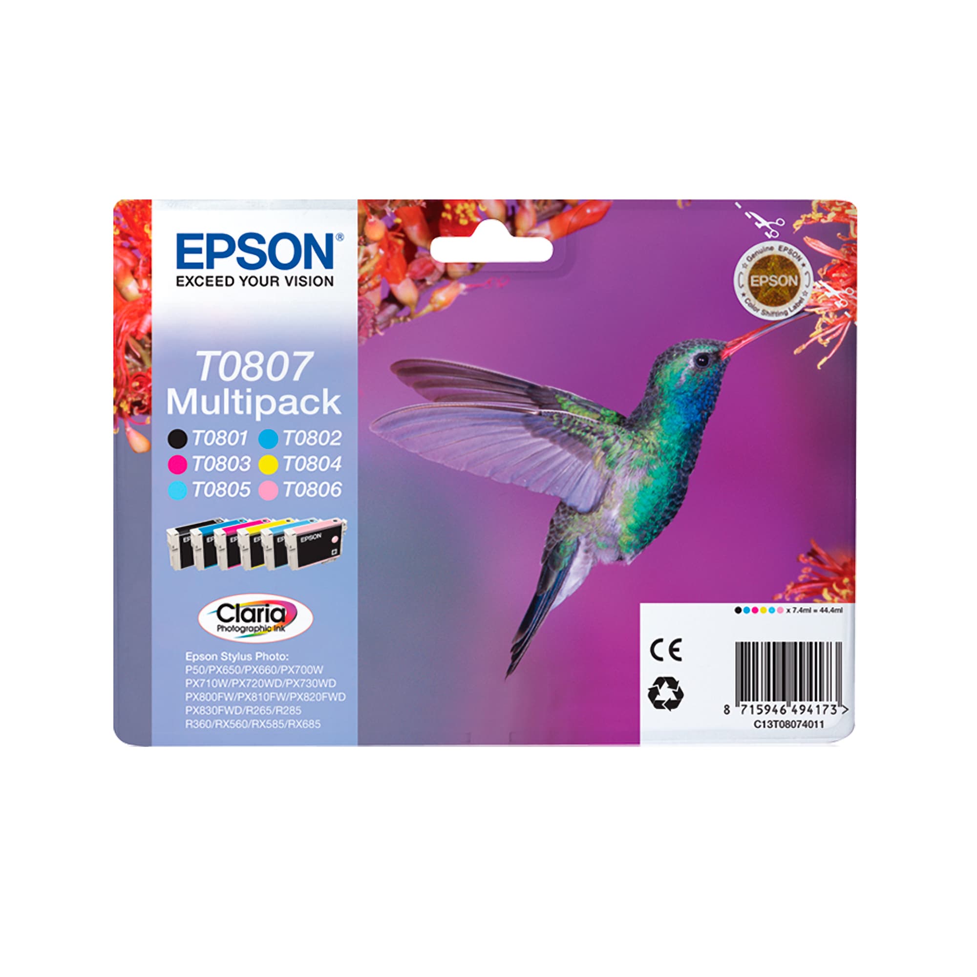 Epson Hummingbird Cartucho T0801 negro
